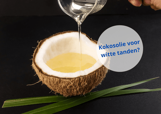 kokosolie in kokosnoot